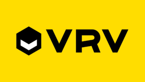 vdv streaming service