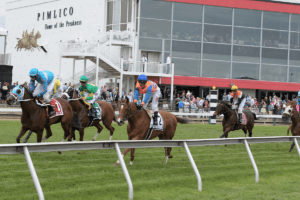 the preakness stakes