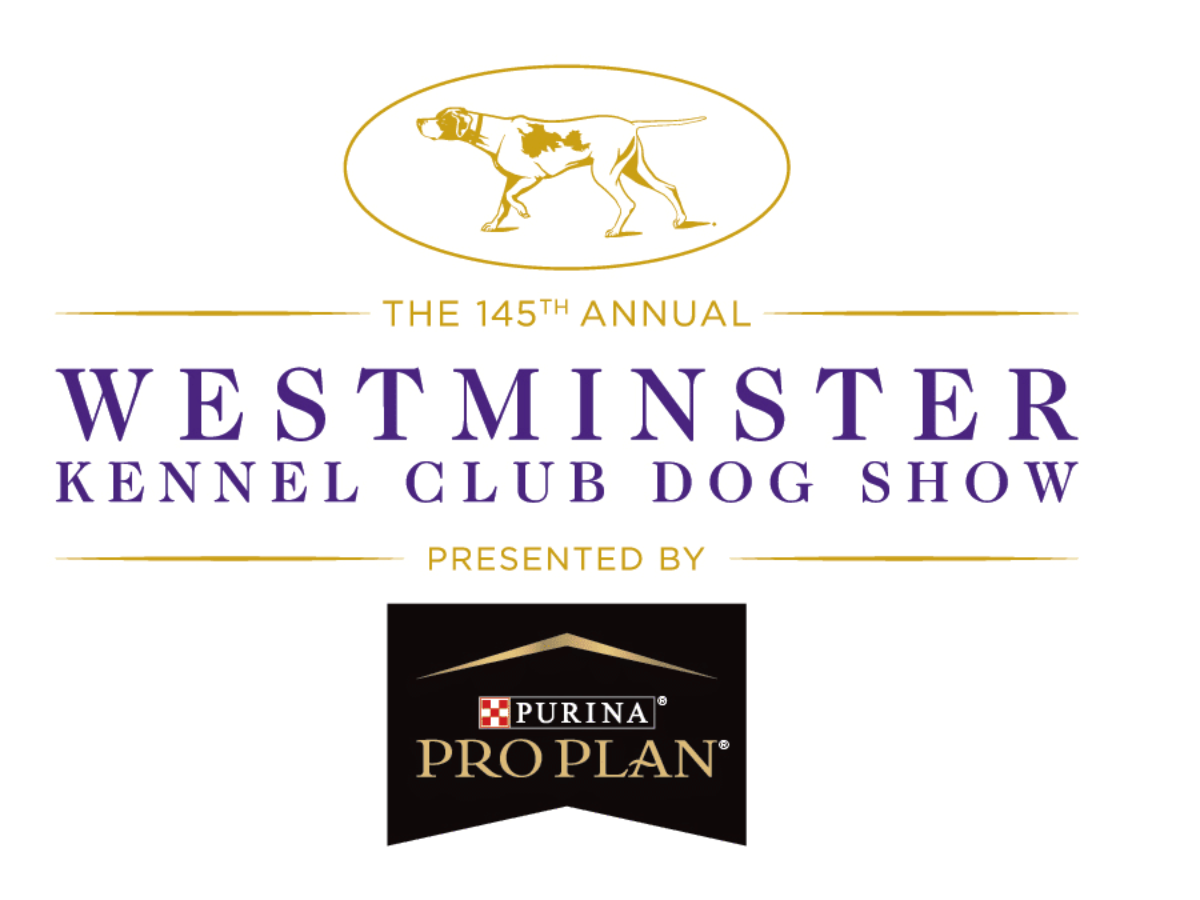 How Can I Watch The Westminster Dog Show