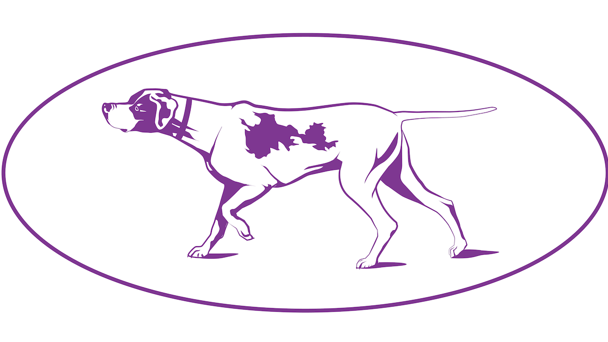 How To Watch Westminster Dog Show (2025)
