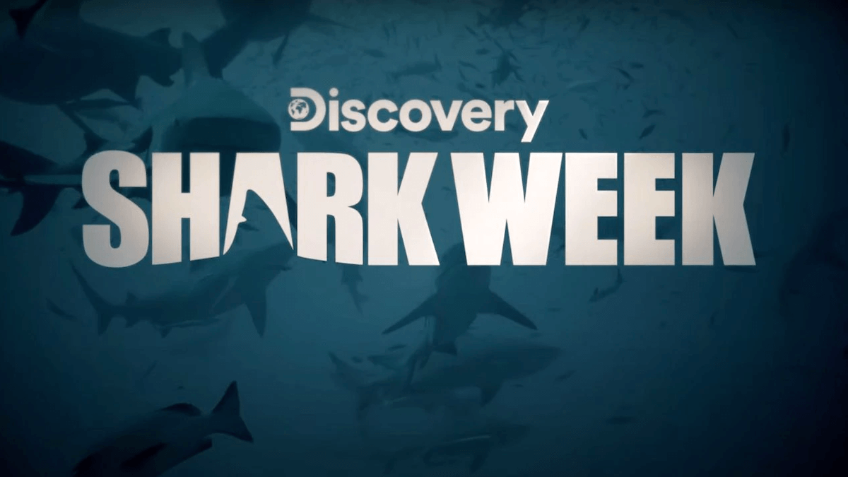 How To Watch Shark Week Without Cable - Grounded Reason