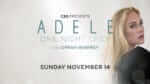 Singer Adele looks at camera with white hazy background