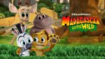 Animated jungle animals