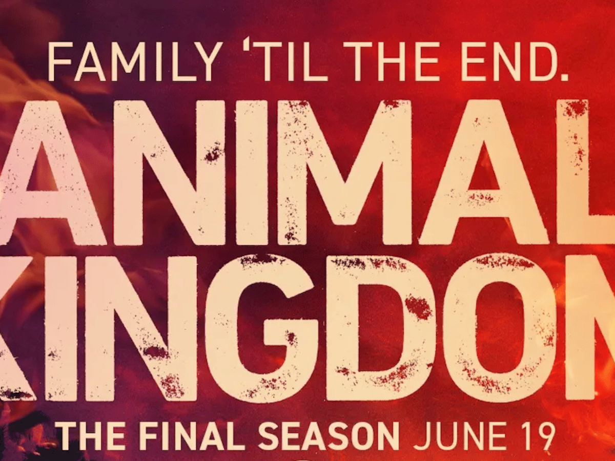 How to Watch the Series Animal Kingdom How to Watch the Series Animal Kingdom