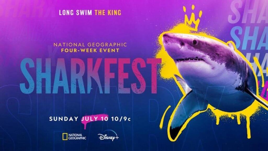 Shark with purple and blue spray paint background