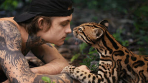 A young man with tattoos and a wildcat kiss noses on the ground in jungle