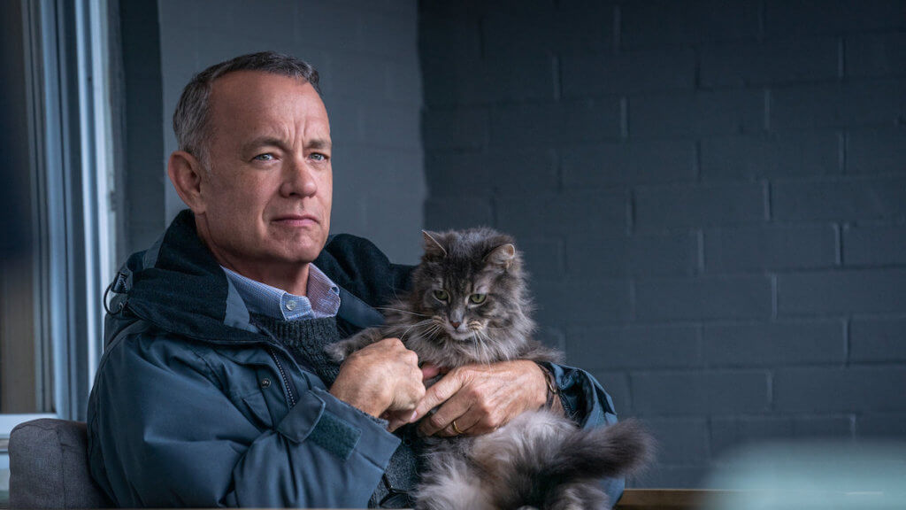A serious looking man sits holding a fluffy grey cat in a dark grey room